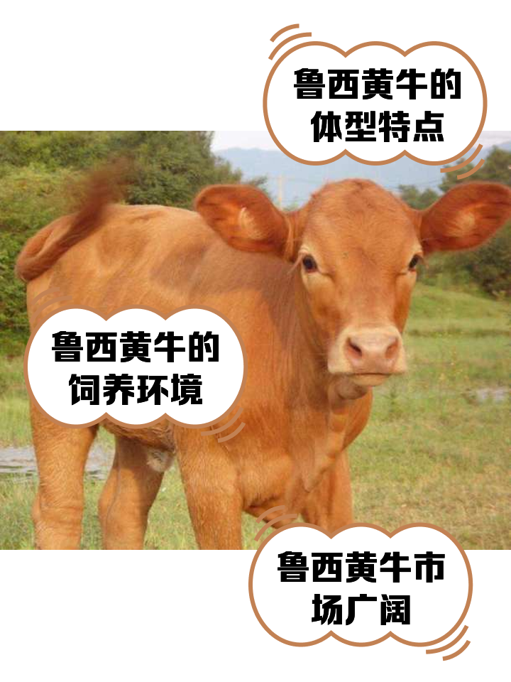 清镇最新医保取现黄牛方法分析(最方便真实的清镇医保取现黄牛怎么取方法)